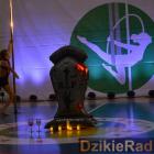 zdjęcie nr 215