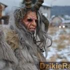 zdjęcie nr 10