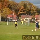 zdjęcie nr 12