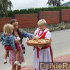 zdjęcie nr 