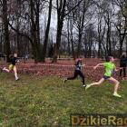 zdjęcie nr 15
