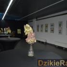 zdjęcie nr 13