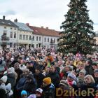 zdjęcie nr 55