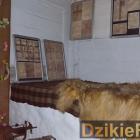 zdjęcie nr 26