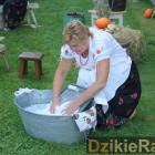 zdjęcie nr 103