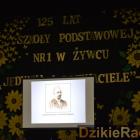 zdjęcie nr 24
