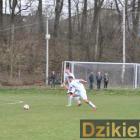 zdjęcie nr 33