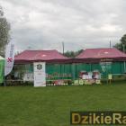 zdjęcie nr 45