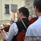 zdjęcie nr 223