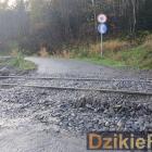 Fot: DzikieRadio®