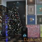 zdjęcie nr 10