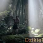 Fotka nr 2 z 7