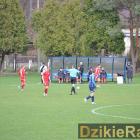 zdjęcie nr 17