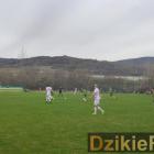 zdjęcie nr 20