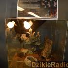 Fotka nr 5 z 23