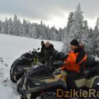 zdjęcie nr 100
