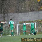 zdjęcie nr 46