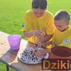 zdjęcie nr 29