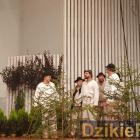 zdjęcie nr 120