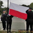 zdjęcie nr 9