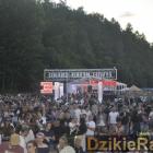 zdjęcie nr 28