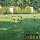 zdjęcie nr 9