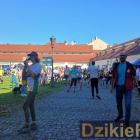 zdjęcie nr 16