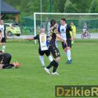 zdjęcie nr 32