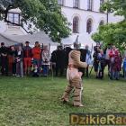 zdjęcie nr 105