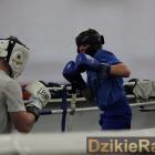 zdjęcie nr 13
