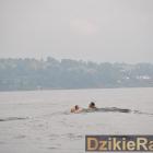 zdjęcie nr 47