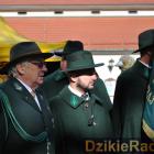 zdjęcie nr 113