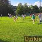 Fotka nr 2 z 62