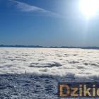 zdjęcie nr 11