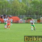 zdjęcie nr 140