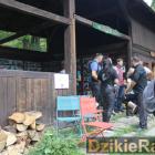 zdjęcie nr 44