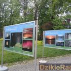 Fotka nr 5 z 7