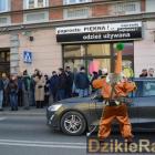 zdjęcie nr 40