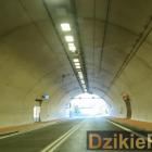 Fot. Dzikieradio®