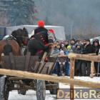 zdjęcie nr 97