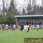 zdjęcie nr 19