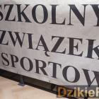 zdjęcie nr 230