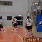 zdjęcie nr 70