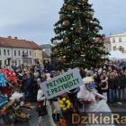 zdjęcie nr 192