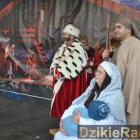 zdjęcie nr 14