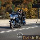 zdjęcie nr 305