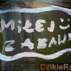 zdjęcie nr 43