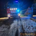 Fotka nr 1 z 13