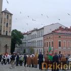 zdjęcie nr 213