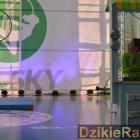 zdjęcie nr 157